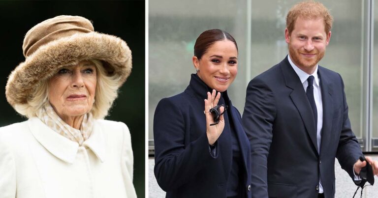 harrymeghancamilla