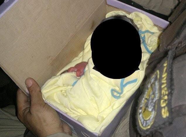 Found in the Trash, The Heartbreaking Discovery That Has Left an Entire ...